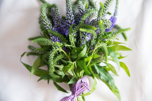 Oren & Liron Sept 2013-28